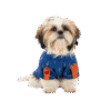 SnuggleShirt