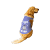 WoofWear